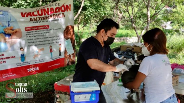 Susana Solis Informa SIGUE campaña de vacunación antirrábica en Tuxtla