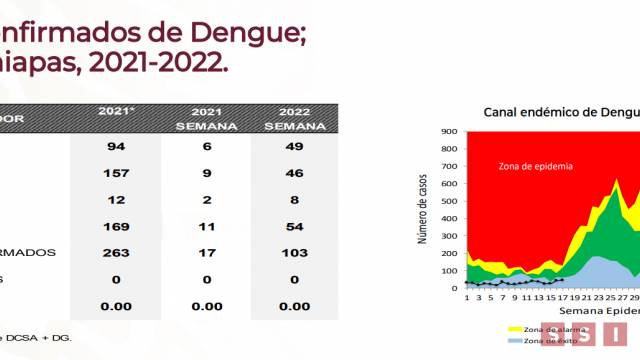 Susana Solis Informa CHIAPAS con más casos de dengue en el país