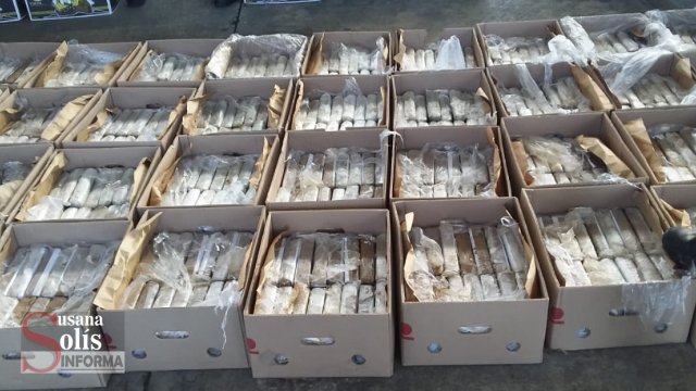 Susana Solis Informa ASEGURAN más de 600 paquetes de cocaína en Huixtla