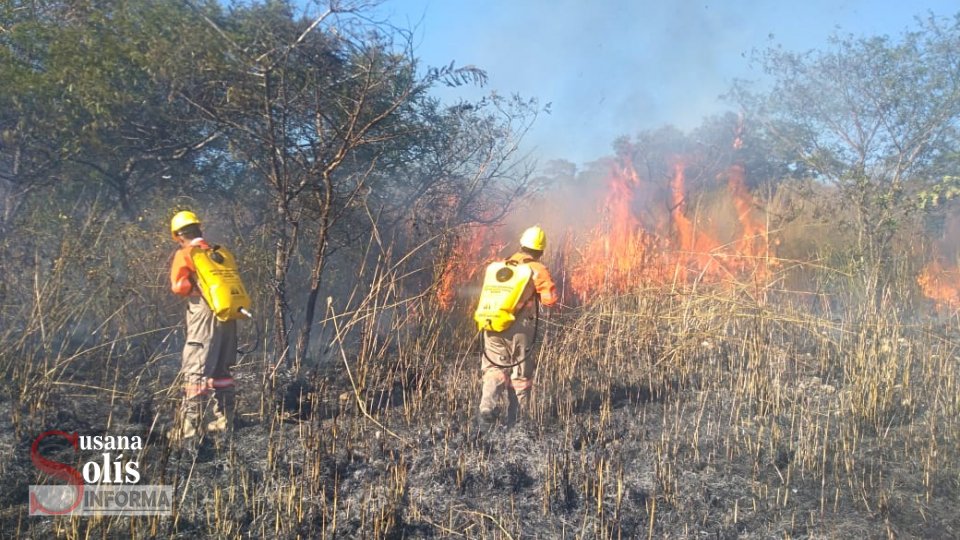 REGISTRAN 60 incendios en Tuxtla Gutiérrez Susana Solis Informa