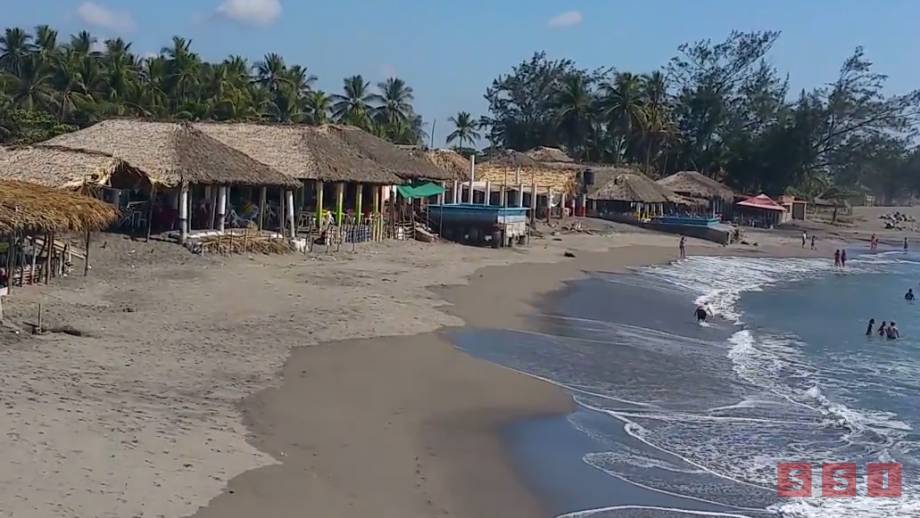 FALLECEN dos infantes por consumo de moluscos en la costa de Chiapas - Susana Solis Informa