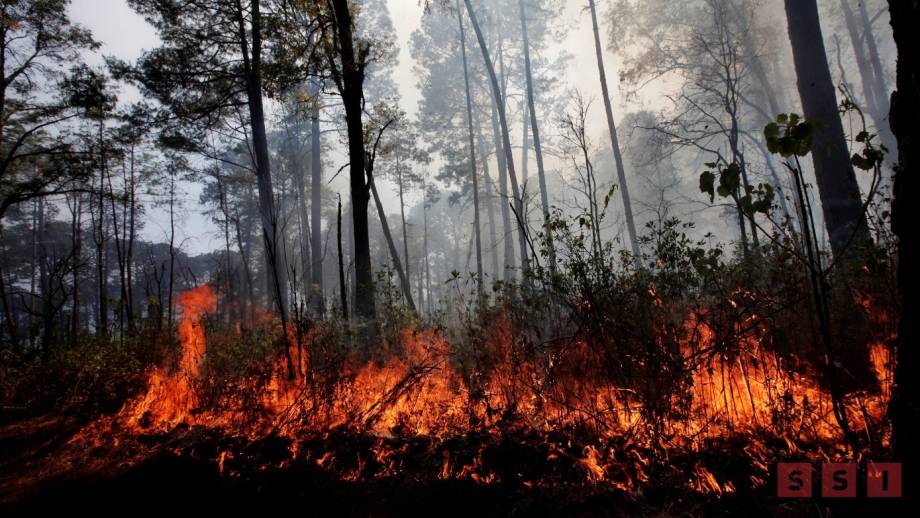 A PESAR de las lluvias, Chiapas con más incendios forestales - Susana Solis Informa