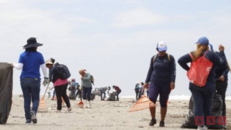 RETIRAN más de 27 toneladas de basura en playas de Puerto Arista - Susana Solis Informa