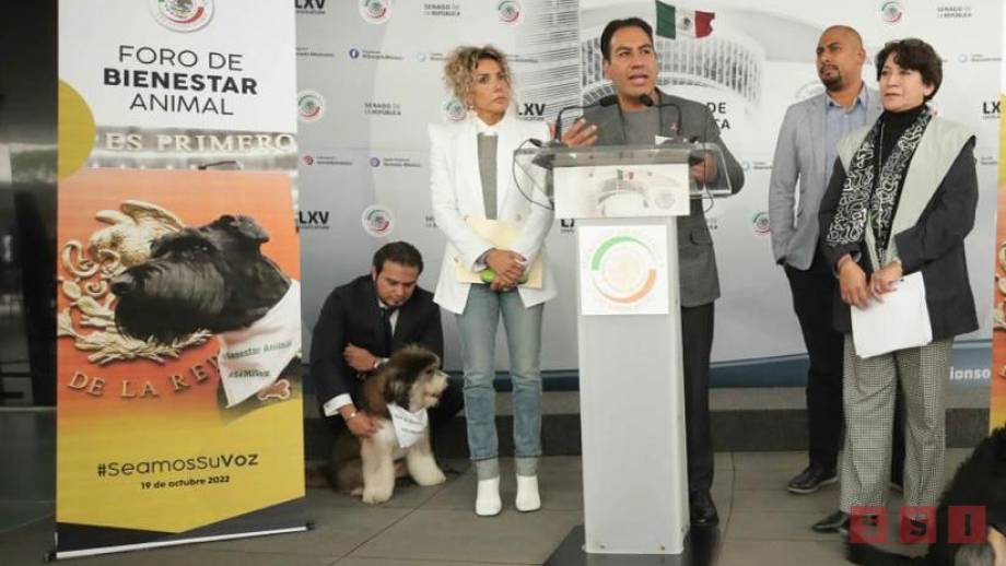 El Senado de la República coloca la piedra angular para legislar en beneficio de los animales: Eduardo Ramírez - Susana Solis Informa