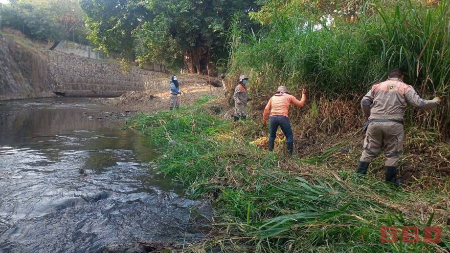 Realiza Protección Civil Tuxtla informe de avances de la limpieza y desazolve del Río Sabinal - Susana Solis Informa