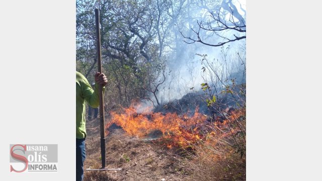 Susana Solis Informa MÁS de 400 hectáreas afectadas por incendios en Chiapas