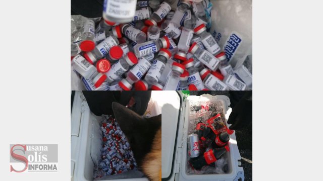 Susana Solis Informa AERONAVE que llevaba vacunas falsas, voló de Chiapas a Campeche