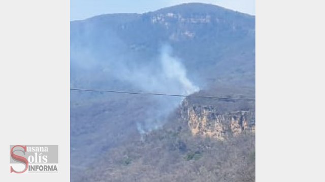 Susana Solis Informa MÁS de cien hectáreas consumen incendios forestales en el Cañón del Sumidero