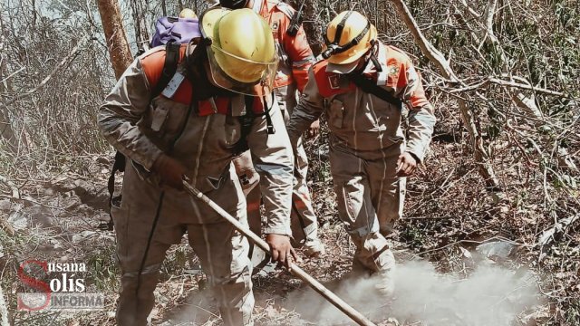 Susana Solis Informa LIQUIDAN brigadistas incendio en el Cañón del Sumidero
