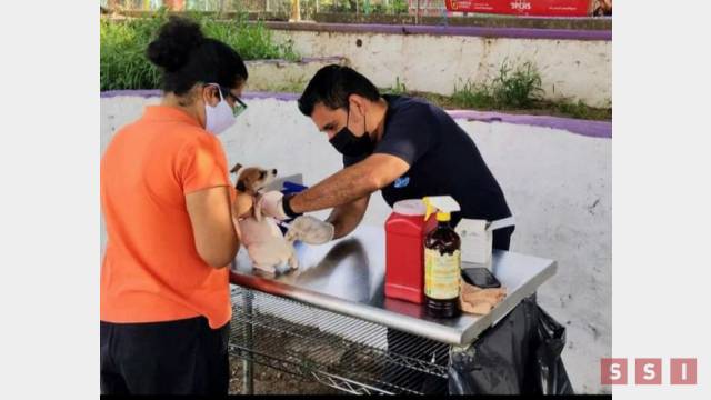 Susana Solis Informa Arranca campaña de vacunación antirrábica en Tuxtla