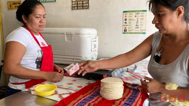 Susana Solis Informa PODRÍA CERRAR el año con otro aumento al precio del kilo de tortilla