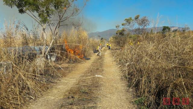 Susana Solis Informa Sistema Estatal y Municipal de Protección Civil trabajan en brechas cortafuegos