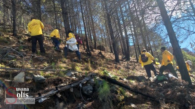 Susana Solis Informa REFORESTAN zonas dañadas por incendios en biosfera del #Tacaná