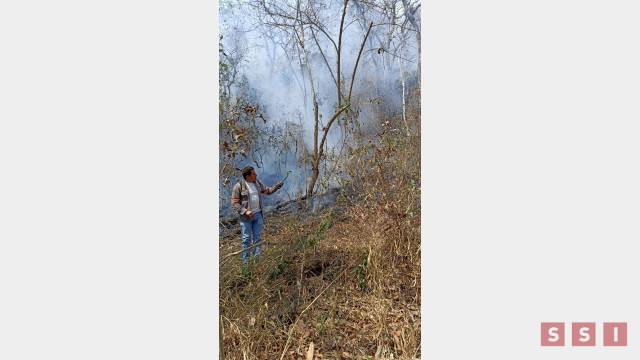 Susana Solis Informa Provocan más incendios en el Cerro Mactumactzá en Tuxtla; hay 10 hectáreas afectadas