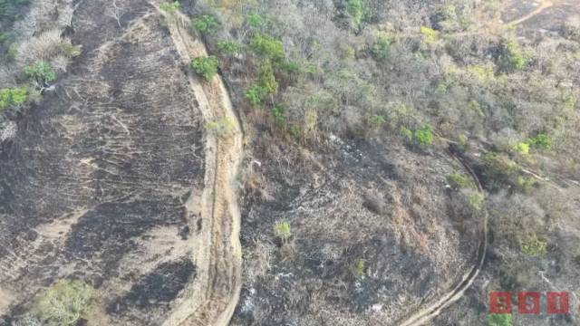 Susana Solis Informa Cerro Mactumactzá destruido por incendios forestales, se recuperará en 10 años