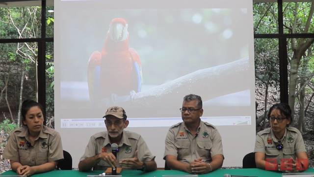 Susana Solis Informa Denuncian robo de fauna en el ZOOMAT