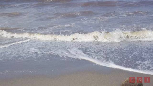 Susana Solis Informa Localizan restos humanos cerca de la Base Naval en Chiapas