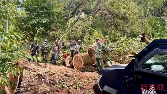 Susana Solis Informa SE ENFRENTAN fuerzas federales y habitantes de la Sierra de Chiapas