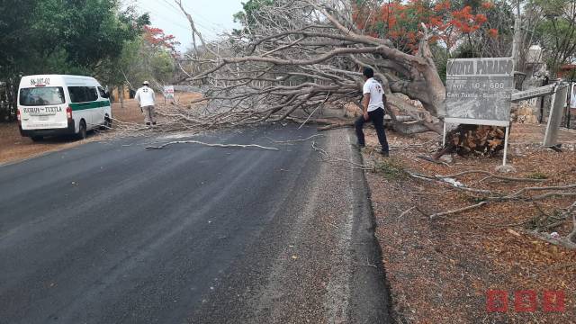 Susana Solis Informa AFECTACIONES en Chiapas con las primeras lluvias