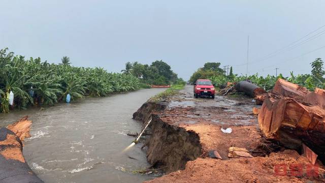 Susana Solis Informa Gobierno de Chiapas emite declaratoria de emergencia para la atención de afectaciones en cultivos en el municipio de Suchiate
