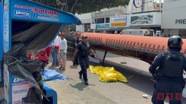 Susana Solis Informa MUERE maestra que estaba en paro de labores de la Sección 7; le cae un toldo encima