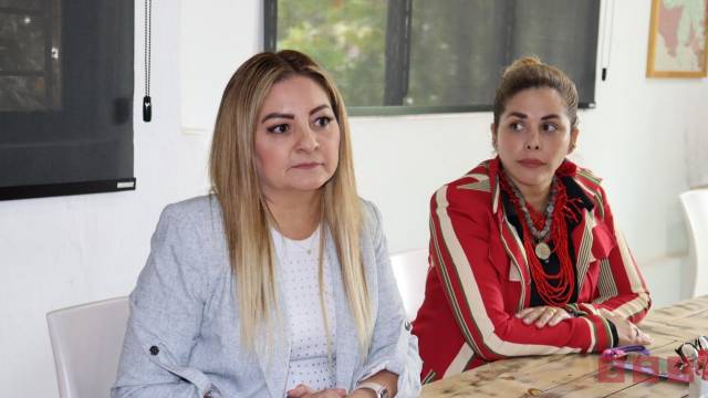 Susana Solis Informa Instalarán 52  “Centros Libres para Mujeres” en Chiapas para combatir la violencia de género