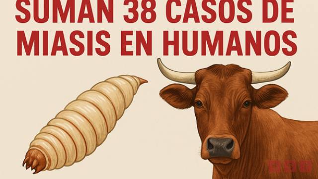 Susana Solis Informa Confirman 38 casos de miasis humana en Chiapas