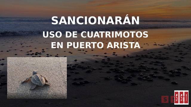 Susana Solis Informa Sancionarán uso de cuatrimotos en Puerto Arista por riesgo a nidos de tortuga: Profepa