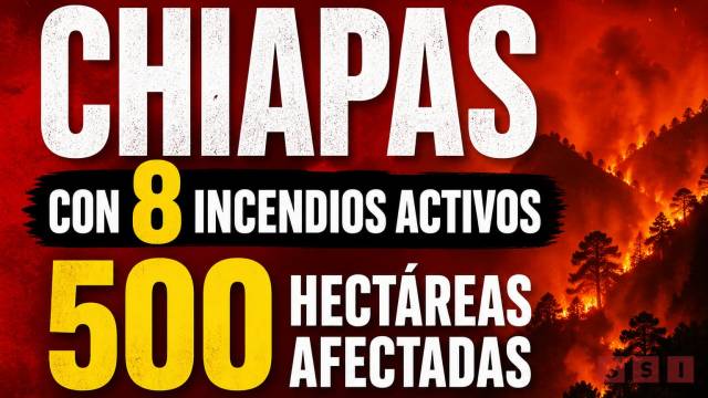 Susana Solis Informa CHIAPAS con 8 incendios activos; suman más de 500 hectáreas afectadas