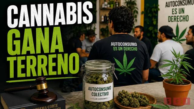 Susana Solis Informa Avanza el autoconsumo de cannabis en México; clubes celebran criterio de la Corte