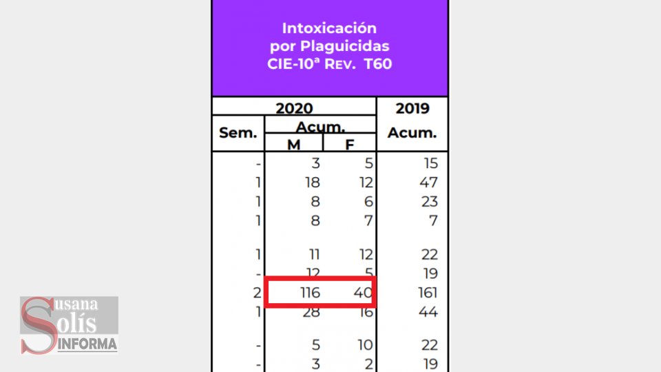 Unas 156 personas han resultado intoxicadas por plaguicidas en Chiapas