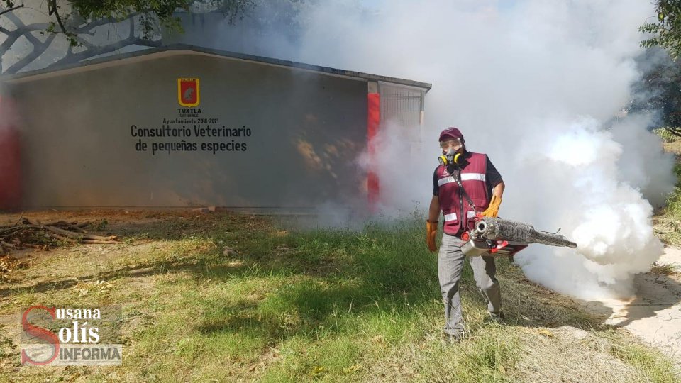 CONTINUAN acciones permanentes de fumigación en Tuxtla Gutiérrez - Susana Solis Informa