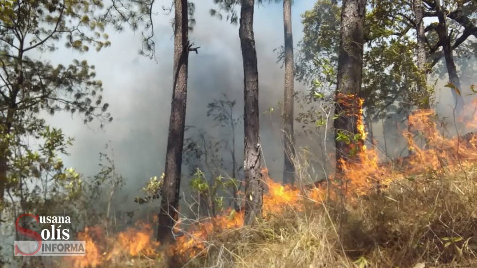 CASI mil 500 hectáreas se han siniestrado por incendios forestales en Chiapas - Susana Solis Informa