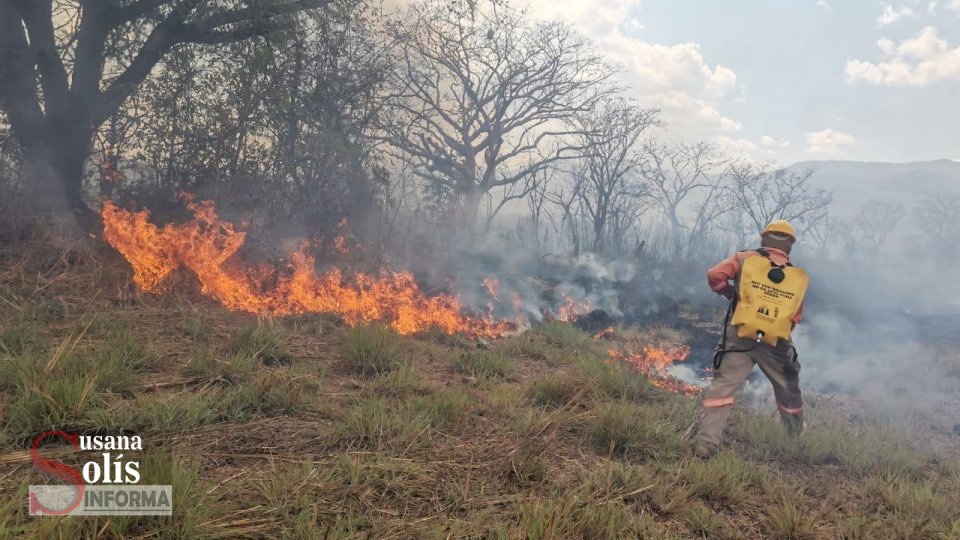 Controlado el incendio intencional en predio colindante con fraccionamiento Real del Bosque - Susana Solis Informa