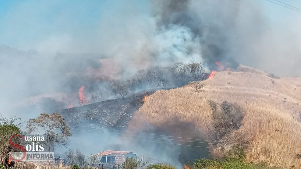 CHIAPAS ocupa el sexto lugar con más afectación por incendios forestales - Susana Solis Informa