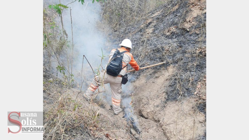 COMBATEN 10 incendios forestales en Chiapas Susana Solis Informa