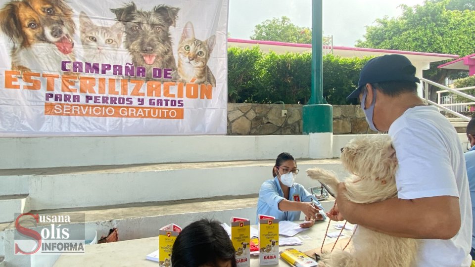 INICIA Mega Campaña de Esterilización gratuita en Tuxtla Gutiérrez - Susana Solis Informa