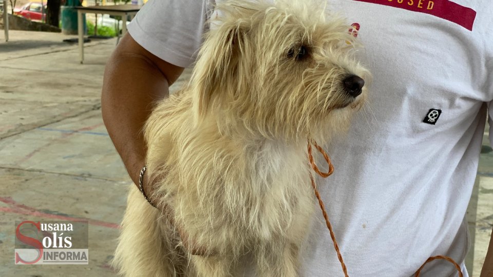 MACRO campaña de esterilización canina y felina para el Jobo y Copoya - Susana Solis Informa