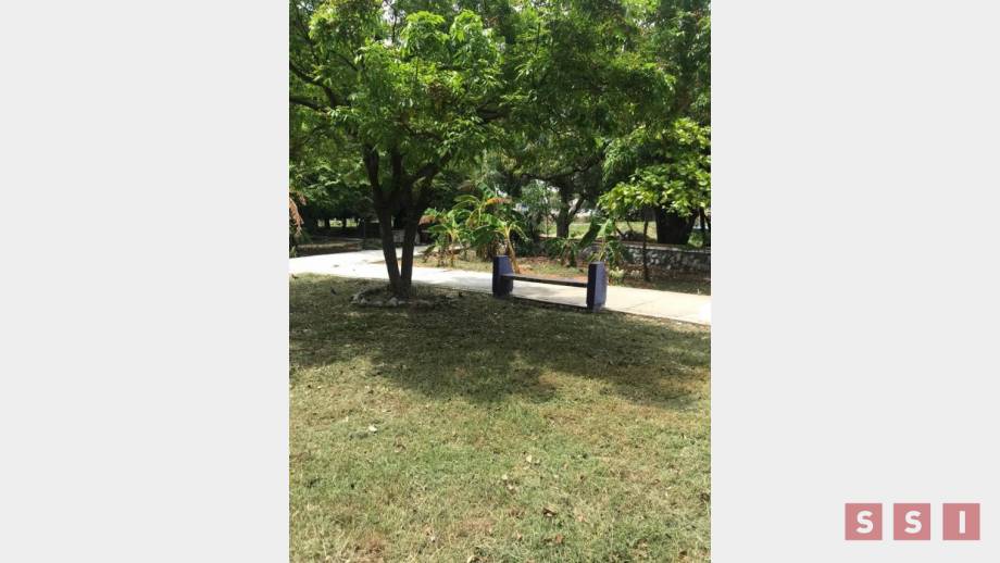 El Parque Tuchtlán se reinaugurará para beneficio de las mascotas en Tuxtla Gutiérrez Susana Solis Informa