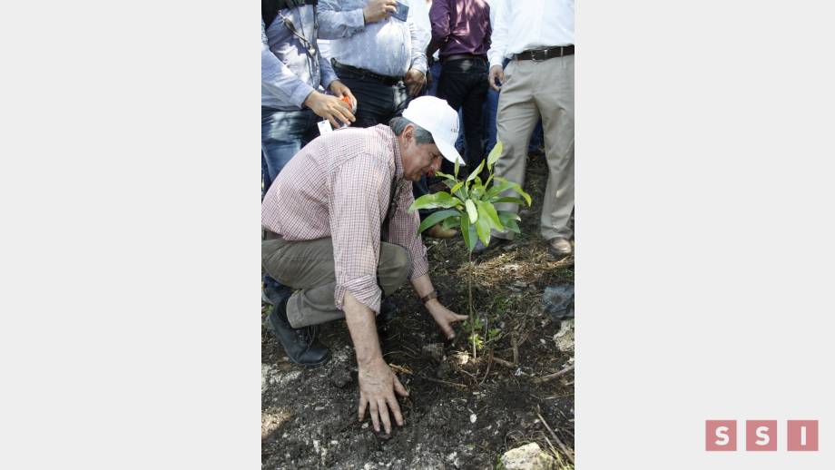 Tuxtla Gutiérrez se suma al programa de reforestación estatal Susana Solis Informa