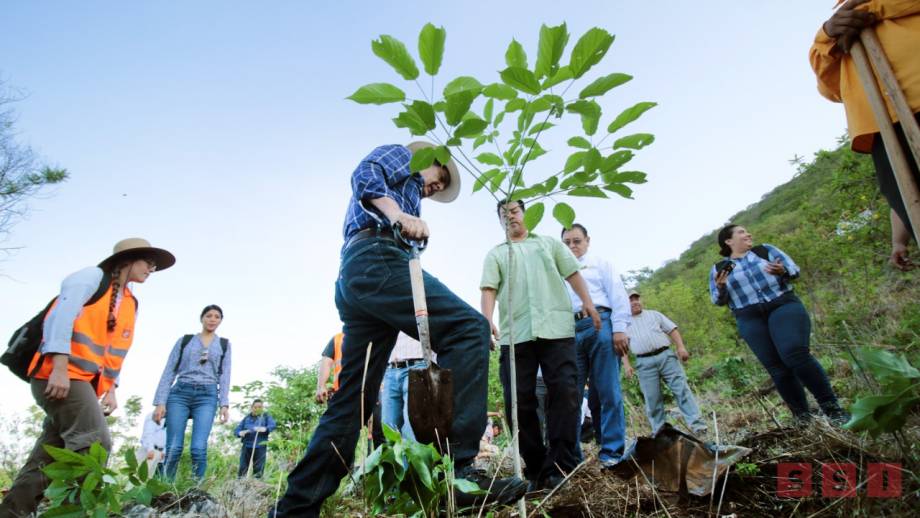 Ayuntamiento de Tuxtla, CONANP y SEMAHN reforestan áreas del Parque nacional Cañón del Sumidero Susana Solis Informa