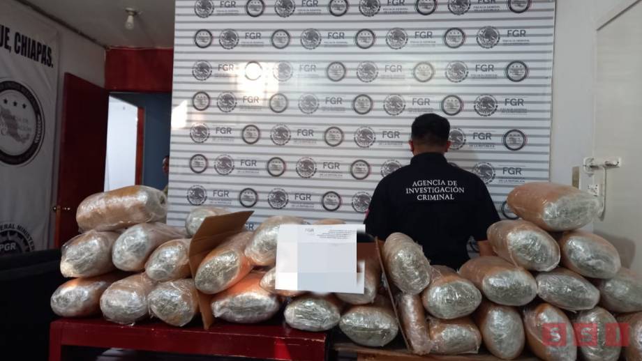 ASEGURAN en Chiapas 45 kilos de marihuana en Palenque Susana Solis Informa