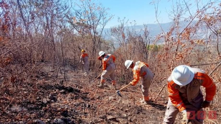 Prepara Protección Civil Tuxtla brechas cortafuego en Nueva Jerusalén - Susana Solis Informa