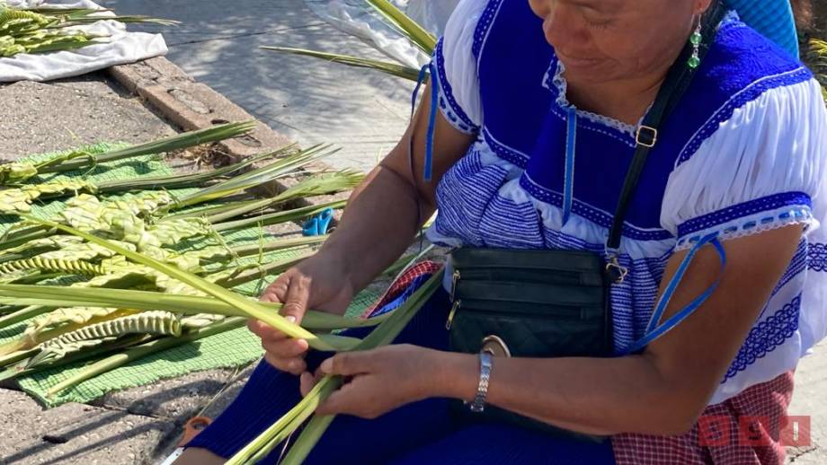 BAJAS ventas de palmas en el Domingo de Ramos - Susana Solis Informa