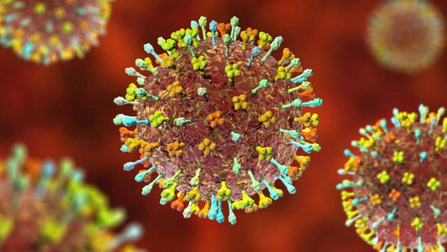 Henipavirus, el nuevo virus identificado en China - Susana Solis Informa