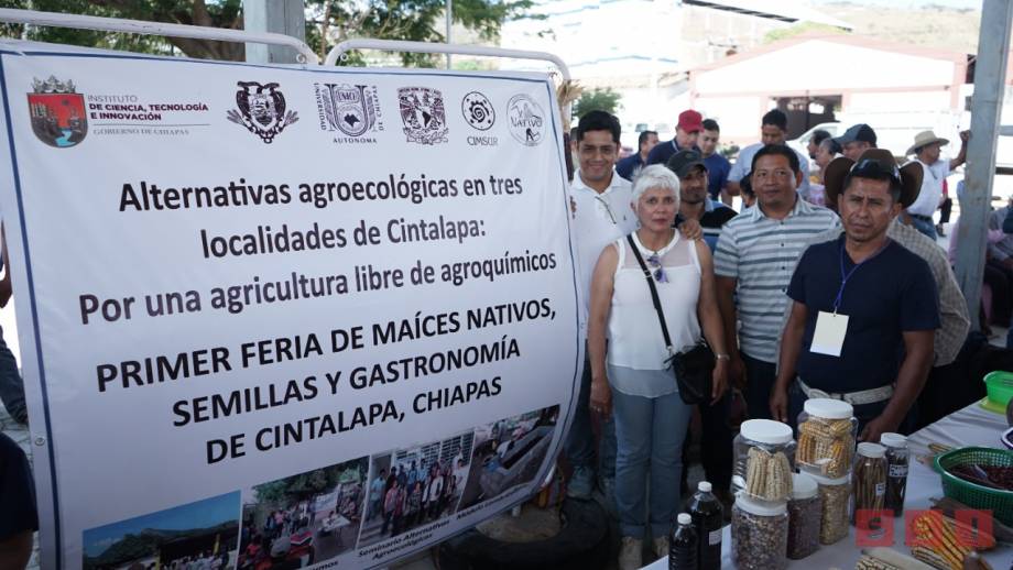 ICTI presente en la Primer Feria de Maíces Nativos, Semillas y Gastronomía en Cintalapa - Susana Solis Informa
