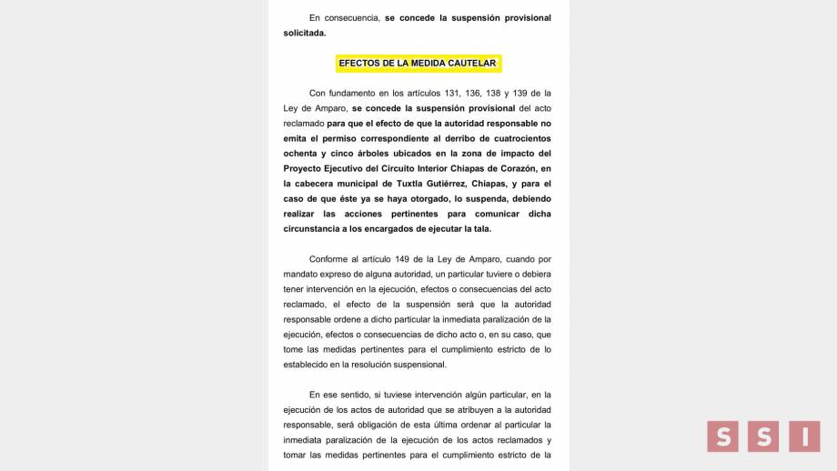 Juez federal ordena suspender derribo de árboles por obra de Circuito Interior - Susana Solis Informa