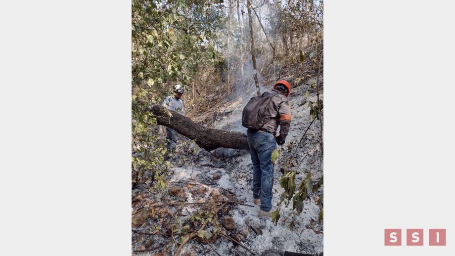MÁS DE 30 hectáreas se siniestran en el Cerro Mactumactzá por incendio forestal - Susana Solis Informa