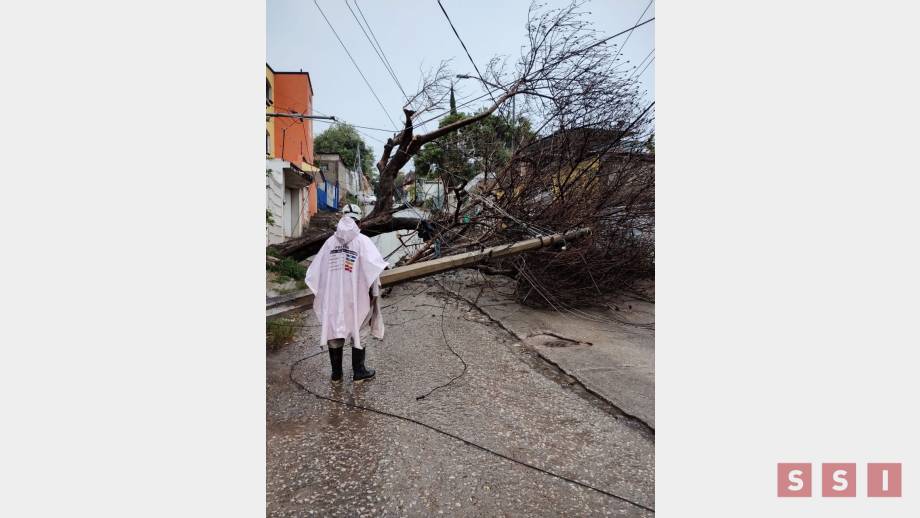Tromba y árboles caídos deja lluvia en Chiapas - Susana Solis Informa