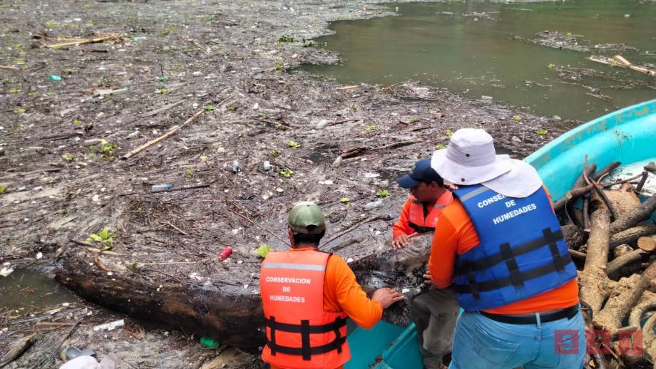 MÁS de 800 toneladas de residuos sólidos retiran en el Cañón del Sumidero Susana Solis Informa